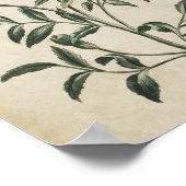 ヴィンテージボタニカルフローラフランスのマリゴールドプリント ポスター (角)