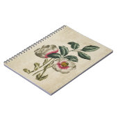 ヴィンテージボタニカルフローラヘレボアイラストレーション ノートブック (左側)