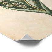 ヴィンテージボタニカルフローラリリーオブザバレープリント ポスター (角)