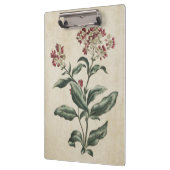 ヴィンテージボタニカルフローラローレストナイラストレーション クリップボード (左)