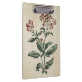 ヴィンテージボタニカルフローラローレストナイラストレーション クリップボード (右)