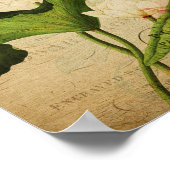 ヴィンテージボタニカルポスタフランスの- Lotus ポスター (角)