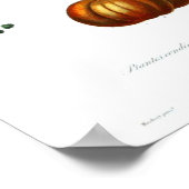 ヴィンテージボタニカルポスター – スカッシュ ポスター (角)