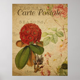 ヴィンテージボタニカルポスター – Rhododenron ポスター