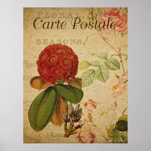 ヴィンテージボタニカルポスター – Rhododenron ポスター (正面)