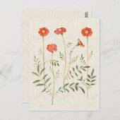 ヴィンテージボタニカルマリゴールドイラストレーション ポストカード (正面/裏面)