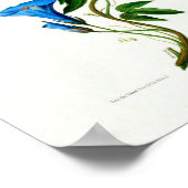 ヴィンテージボタニカルラセレスティンフローレDアメリカ ポスター (角)