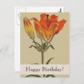 ヴィンテージボタニカルリリーハッピーバースデーはがき ポストカード (正面/裏面)