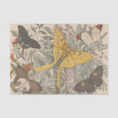 ヴィンテージボタニカルルナモスバタフライデクページ 薄葉紙 (正面)