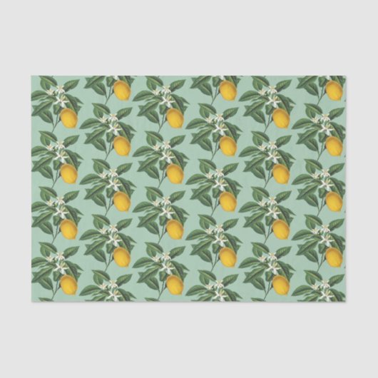 ヴィンテージボタニカルレモンフルーツブロッサムセージグリーン 薄葉紙 (正面)