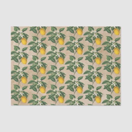 ヴィンテージボタニカルレモンフルーツブロッサムベージュクラフト 薄葉紙 (正面)