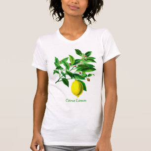 ヴィンテージボタニカルレモンプリント Tシャツ