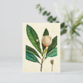 ヴィンテージボタニカルロブロリーベイツリーイラストレーション ポストカード (スタンド正面)