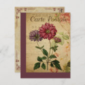 ヴィンテージボタニッフランスのクポストカードアネモン ポストカード (正面/裏面)