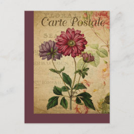 ヴィンテージボタニッフランスのクポストカードアネモン ポストカード