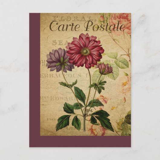 ヴィンテージボタニッフランスのクポストカードアネモン ポストカード (正面)
