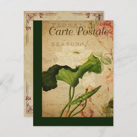 ヴィンテージボタニッフランスのクポストカードロータス ポストカード (正面/裏面)