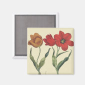 ヴィンテージボタニー、咲くチューリップ花と球根 マグネット (正面/裏面)
