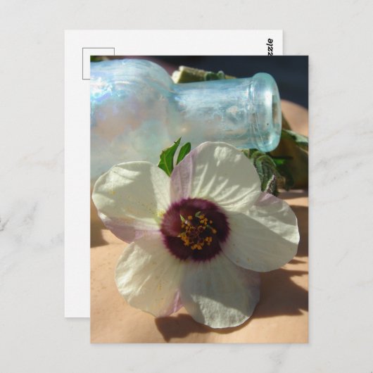 ヴィンテージボトルとかわいらし花 ポストカード (正面/裏面)