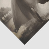 ヴィンテージボトルノスドルフィンフォトデカップページ 薄葉紙 (詳細)