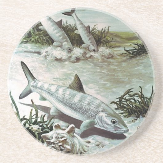 ヴィンテージボニーフィッシュ水中シーン コースター (正面)