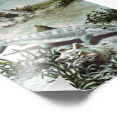 ヴィンテージボニーフィッシュ水中シーン フォトプリント            (角)