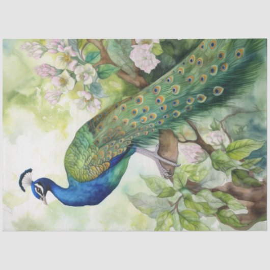 ヴィンテージボホピーコックピーコックデコップス 薄葉紙 (正面)