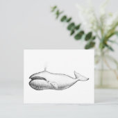 ヴィンテージボワードクジライラストレーション ポストカード (スタンド正面)