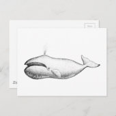 ヴィンテージボワードクジライラストレーション ポストカード (正面/裏面)