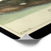 ヴィンテージボーホエッドグリーンランドクジラプリント ポスター (角)