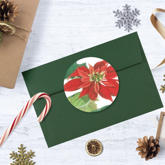 ヴィンテージポインセチア植物学 ラウンドシール