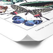 ヴィンテージポスターパピヨンLarousse注トース ポスター (角)