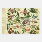 ヴィンテージポスターホリホックフルーア ラッピングペーパーシート (正面2)