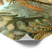 ヴィンテージポスター ポスター (角)