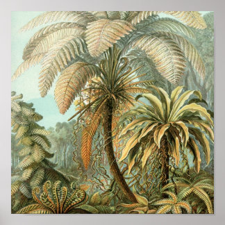 ヴィンテージポスター ポスター