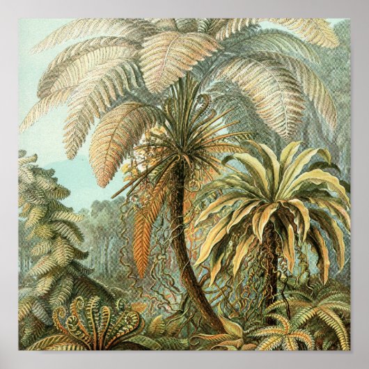 ヴィンテージポスター ポスター (正面)