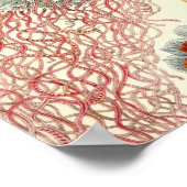 ヴィンテージポスター ポスター (角)