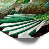 ヴィンテージポスター ポスター (角)