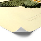 ヴィンテージポスター ポスター (角)