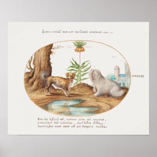 ヴィンテージポスター ポスター (正面)