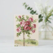 ヴィンテージポストカードの保存 案内ポストカード (スタンド正面)