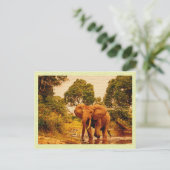 ヴィンテージポストカードアフリカゾウ ポストカード (スタンド正面)