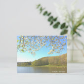 ヴィンテージポストカード ポストカード (スタンド正面)