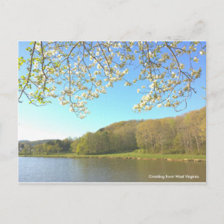 ヴィンテージポストカード ポストカード