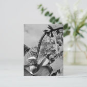 ヴィンテージポストカード ポストカード (スタンド正面)