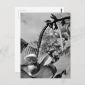 ヴィンテージポストカード ポストカード (正面/裏面)