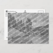 ヴィンテージポストカーファンシードバック – 「C」デザイン ポストカード (正面/裏面)