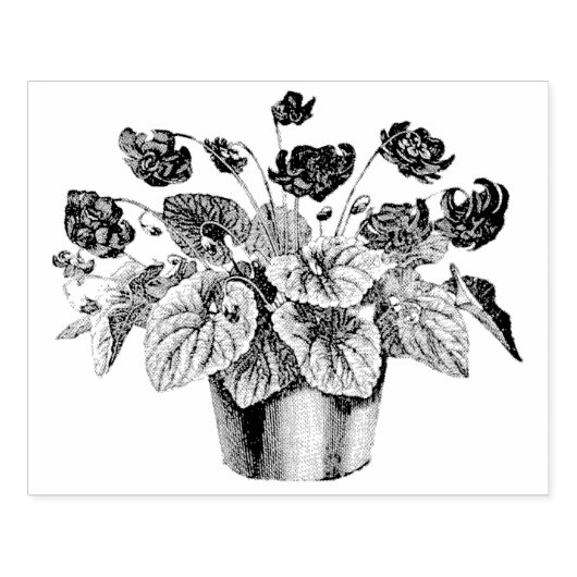 ヴィンテージポットのアフリバイオリーブラバーアートスタンプ ラバースタンプ (インプリント)