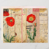 ヴィンテージポピズシャビーシックなスクラップブック紙 (正面/裏面)