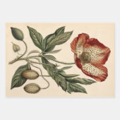 ヴィンテージポピーイラストレーション家具デコページ ラッピングペーパーシート (正面3)